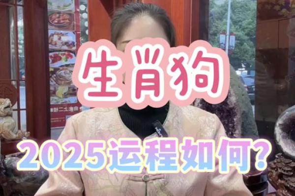 2025属狗的人运势怎么样_2025年属狗人运势详解财运事业感情全解析 2025属狗的人运势怎么样_2025年属狗人运势详解财运事业感情全解析