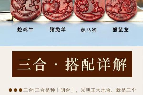 属龙跟属鸡的姻缘怎么样_2024年龙鸡姻缘解析盛夏婚配运势大揭秘