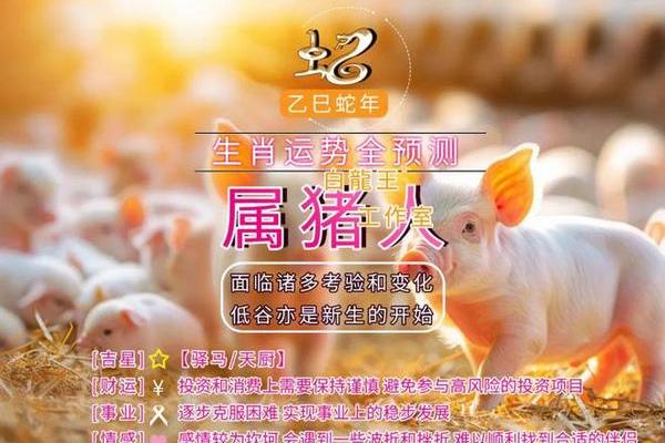 属猪的人2025年多大_2025年属猪人年龄揭秘你今年多大