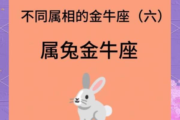 属兔最佳婚配_属兔最佳婚配前十名属相