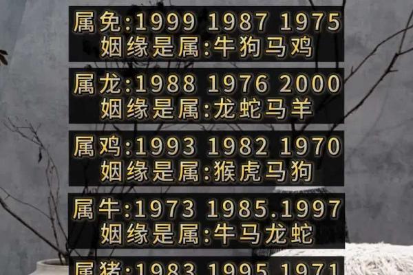 1990年属马人2025年婚姻运程逐月解析全年姻缘走势 1990年属马人2025年婚姻运程逐月解析全年姻缘走势