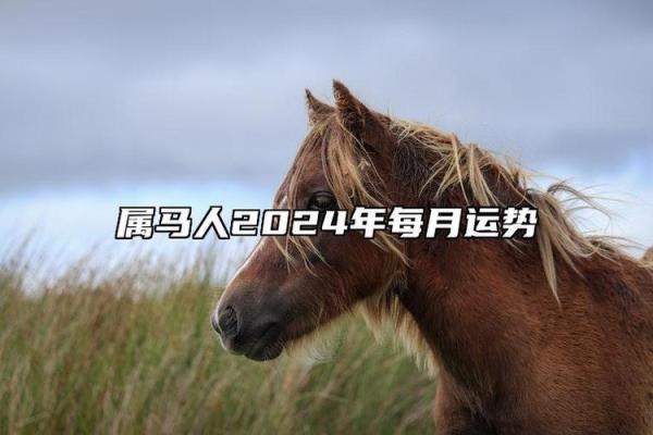 66年属马人今日财运 2023年66年属马人今日财运大吉财富运势走势分析 66年属马人今日财运 2023年66年属马人今日财运大吉财富运势走势分析