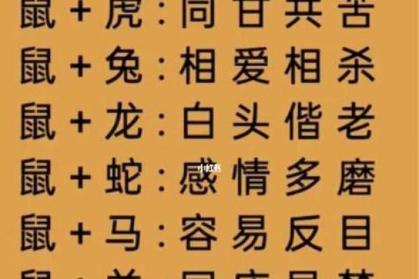 1995属猪女和1993属鸡男姻缘 1995属猪女与1993属鸡男姻缘解析生肖配对与爱情运势 1995属猪女和1993属鸡男姻缘 1995属猪女与1993属鸡男姻缘解析生肖配对与爱情运势