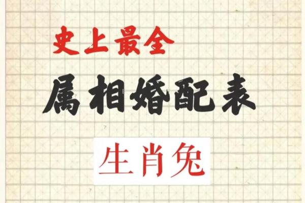 属鸡跟属兔的姻缘怎么样 属鸡的和属兔的婚配怎么样啊 属鸡跟属兔的姻缘怎么样 属鸡的和属兔的婚配怎么样啊