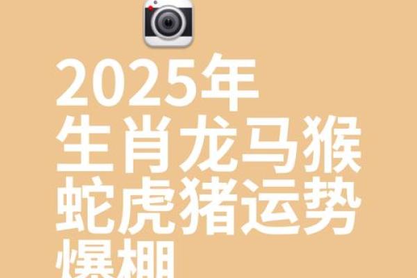 2025年属龙的运势和财运怎么样_2025年属龙人全年运势与财运解析逐月运程详解 2025年属龙的运势和财运怎么样_2025年属龙人全年运势与财运解析逐月运程详解