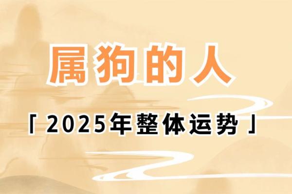 2025狗年运程1982年运势_2025狗年运程1982年运势女