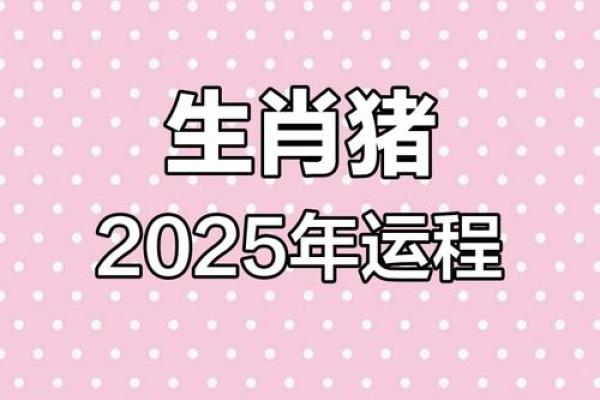 1983属猪2025年运势详解全年运程大揭秘