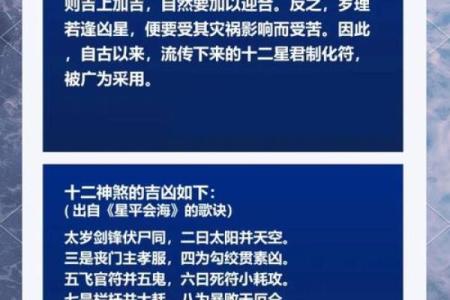 2024年属马人全年运势解析吉凶预测与关键运势指南