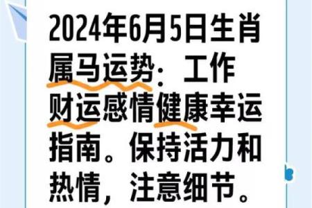 属马人今年运势 2024属马人运势解析财运事业健康全指南