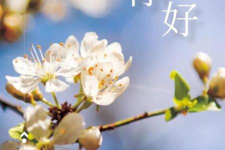 2020年4月25号适合结婚吗(4月25号结婚好吗)