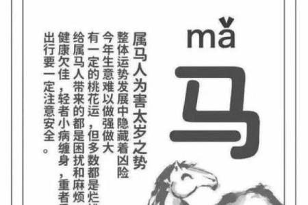 78年属马人2025年运势运程详解生肖运势精准预测与建议