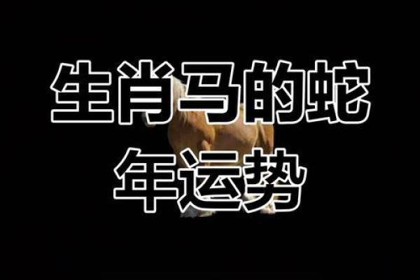 1978年属马2025运势完整版 1978年的马在2025年的运势怎么样 1978年属马2025运势完整版 1978年的马在2025年的运势怎么样