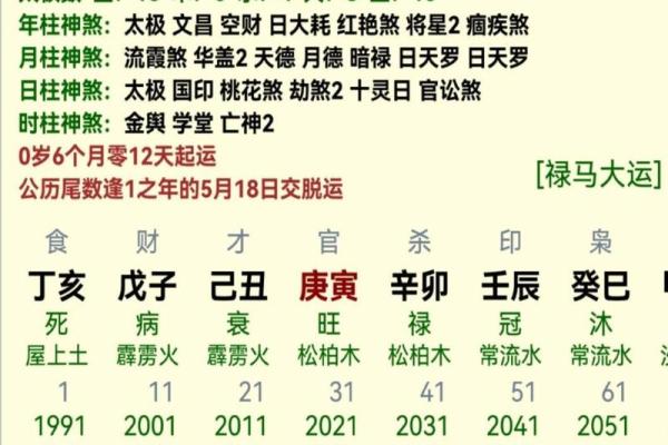 免费测八字命盘解析 免费测八字命盘解析日柱时柱皆有贵神存在是什么意思