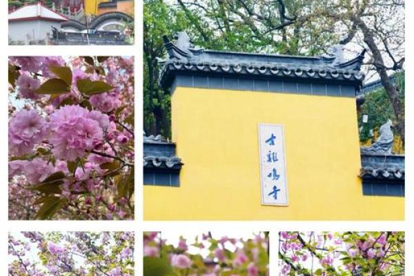 鸡鸣寺求姻缘准的可怕 鸡鸣寺求姻缘准得惊人揭秘灵验背后的秘密