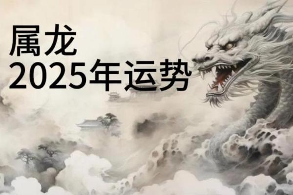 属龙2025年运势及运程每月运程_属龙2025年运势及运程每月运程大家找算命网