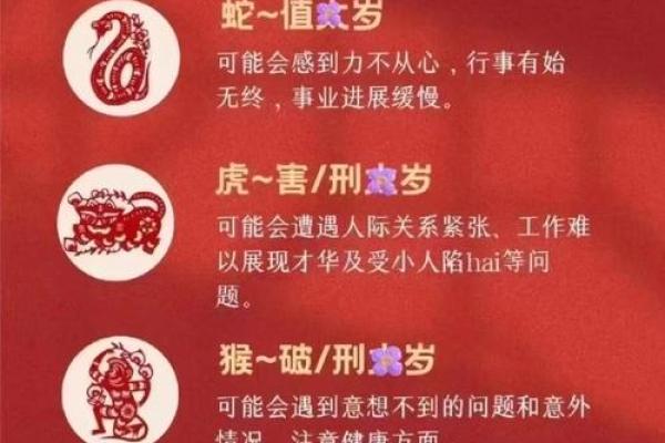 属猪的今年多大了2025年 属猪的今年多大了2025年岁数表