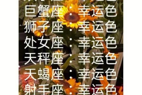 十二星座的永久幸运色 十二星座永久幸运色大揭秘助你运势飙升 十二星座的永久幸运色 十二星座永久幸运色大揭秘助你运势飙升