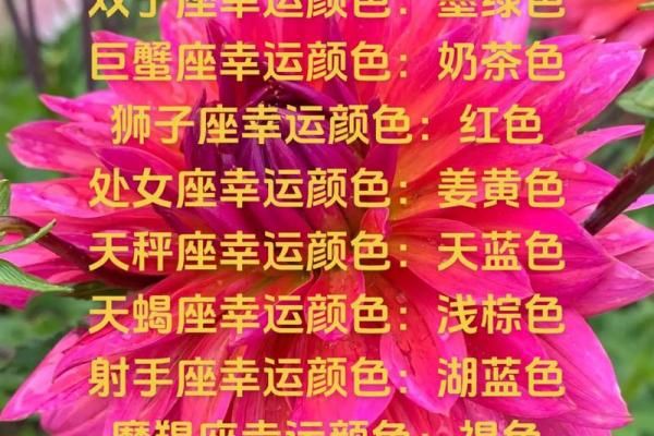 十二星座的永久幸运色 十二星座永久幸运色大揭秘助你运势飙升 十二星座的永久幸运色 十二星座永久幸运色大揭秘助你运势飙升