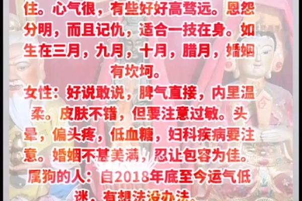 1994年属狗女2025年的运势和婚姻_1994年属狗女2025年运势与婚姻解析