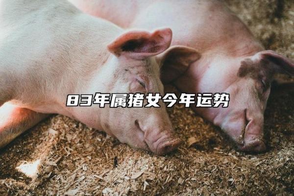 1983年属猪人2025年全年运势及运程_1983年属猪人2025年运势详解全年运程预测与建议