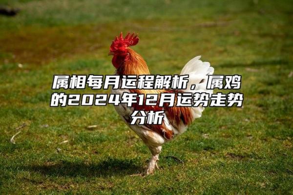57年属鸡人今年多少岁_57年属鸡人2023年多大年龄计算与运势解析