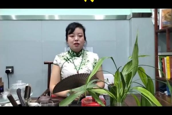 属狗2025年运程_属狗2025年运程怎么样