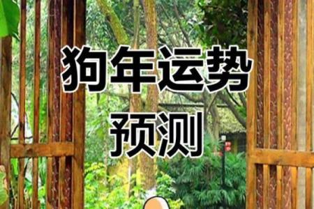 2025年属狗女1970年运势_1970年狗女2025年运势完整版