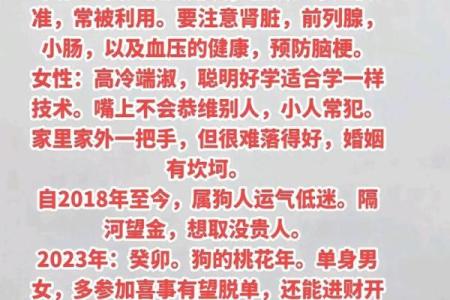1982年属狗人40岁到49岁运程 1982属狗人39岁到49岁运程