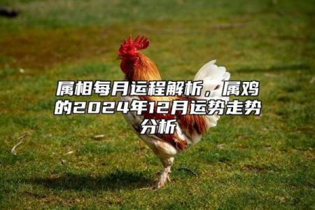 57年属鸡人今年多少岁_57年属鸡人2023年多大年龄计算与运势解析