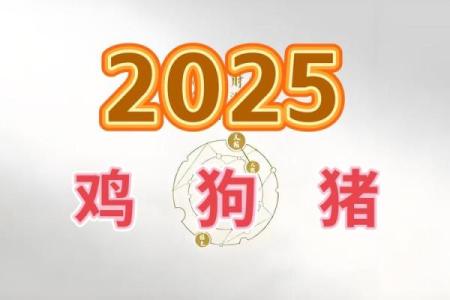 1981年属鸡2025年运势完整版女 1981年属鸡女2025年运势详解财运事业感情全解析