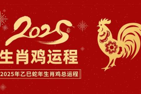 属鸡在2025年的全年运势_2025年属鸡全年运势详解财运事业爱情全面解析
