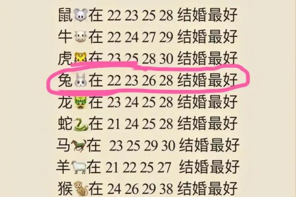 属兔的最佳婚配对象_1999年属兔最佳结婚对象