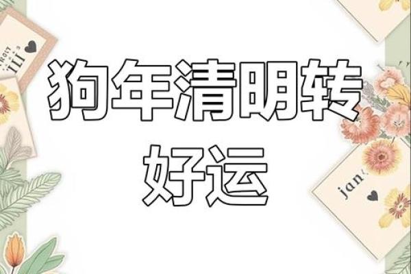2007年属狗2025年运势及运程_2007年属狗男孩的命运