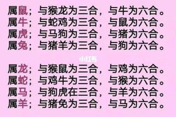 2002年属马的命运与婚姻_2002年属马一生婚姻 2002年属马的命运与婚姻_2002年属马一生婚姻