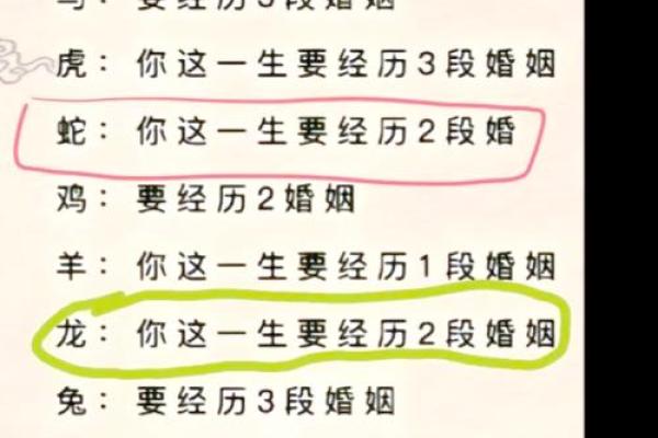 2002年属马的命运与婚姻_2002年属马一生婚姻 2002年属马的命运与婚姻_2002年属马一生婚姻
