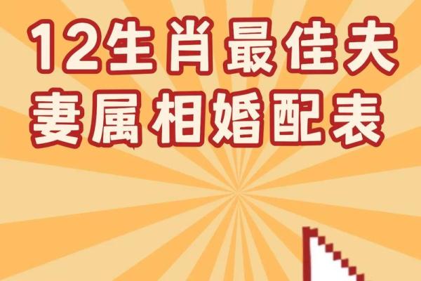 兔的最佳配偶属相_00年属兔的最佳配偶属相 兔的最佳配偶属相_00年属兔的最佳配偶属相