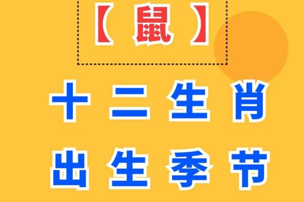 2025年属鼠人的全年运势详解