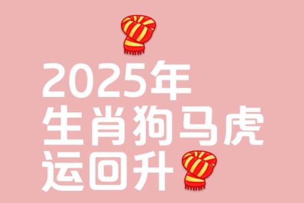 狗年2025运势及运程详解_牛年2025年运势及运程详解