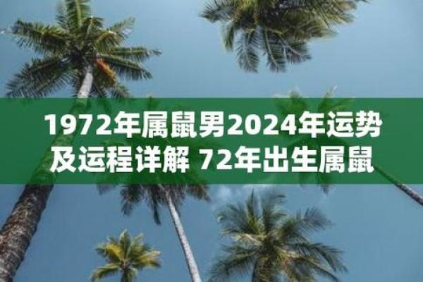 属鼠2025年运势及运程1972年出生