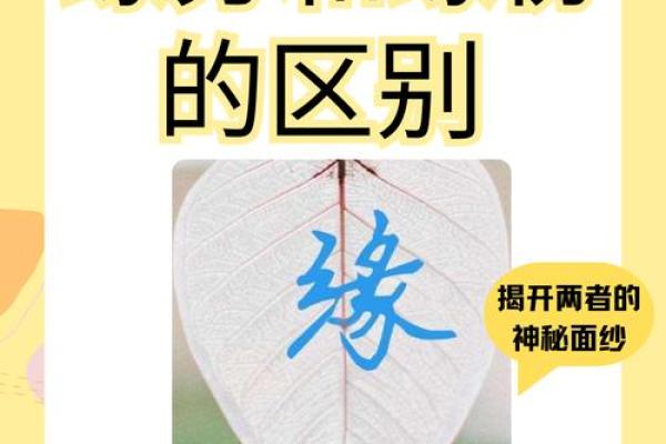 缘分重是什么意思_缘分重的真正含义揭秘命运中的深厚联系