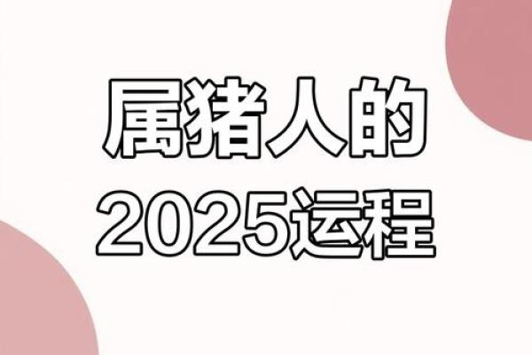 属猪2025年的运势怎么样_2025年属猪人运势详解财运事业感情全解析