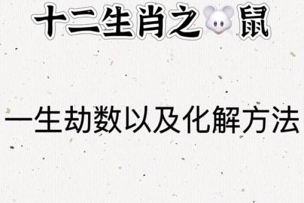 1984鼠年运势2025运势详解 1984鼠年运势2025运势详解