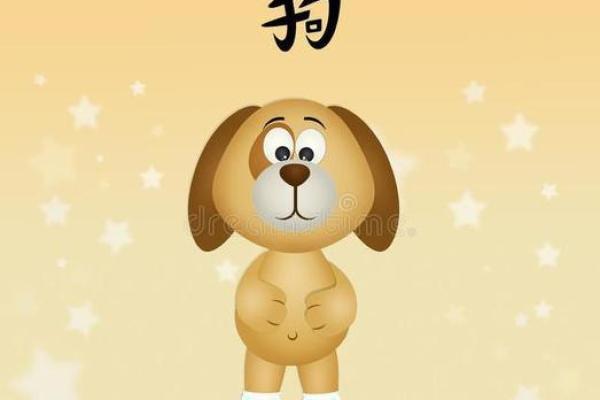 属狗2006年出生女孩命运_2006年属狗女孩命运解析未来运势与人生走向