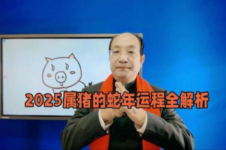 生肖猪2025年运势及运程详解_71属猪2025年必有一难