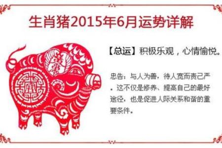 2013年属猪人的全年运势 83年猪财运最旺的三年