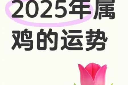 属鸡人2025全年运势运程_1981年属鸡2025年运势