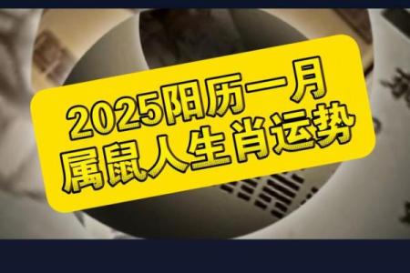 1996属鼠的2025年运势如何