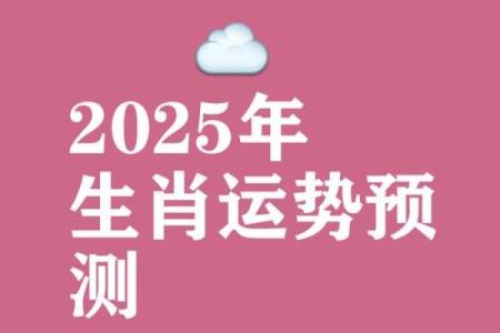 1984年属鼠男2025年运势每月运势