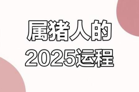属猪2025年的运势怎么样_2025年属猪人运势详解财运事业感情全解析