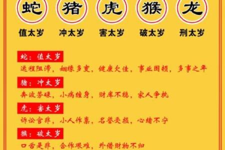 属猪犯太岁年份有哪些_2025属猪血光之灾